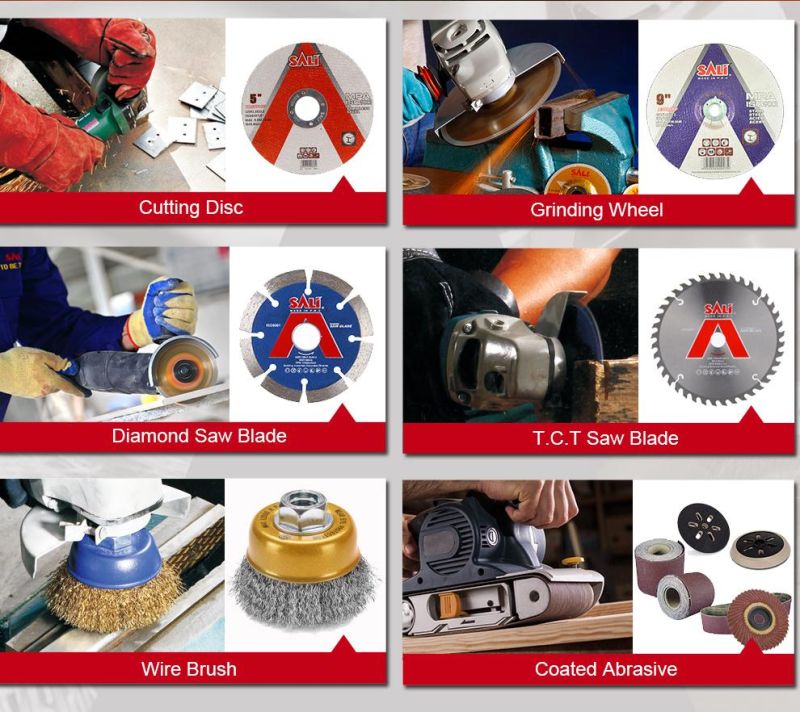 Chn Made SDS Plus Drill Bit Cutting Tool for Metal