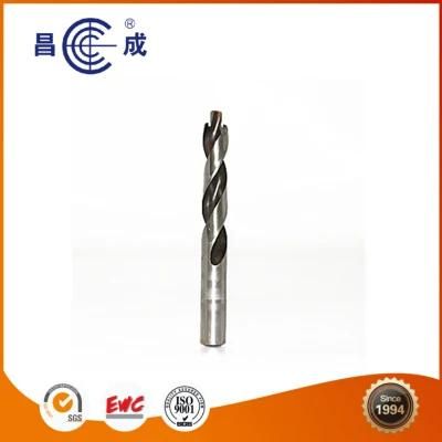 2019 New Type High Speed Steel Twist Flute Drill Bit with 2 Flutes