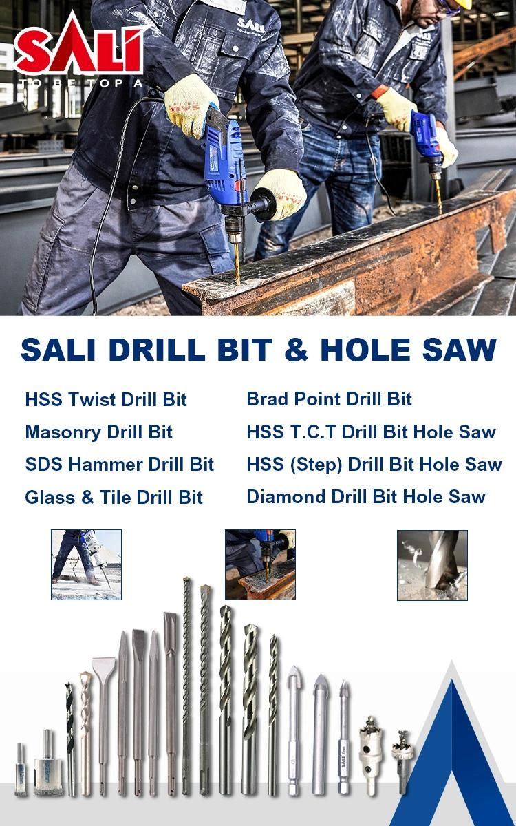 Sali Professional Quality Construction Tools Masonry Drill Bit