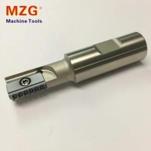 Single Twim ISO Standard Thread Mill Milling Cutting Toolholder