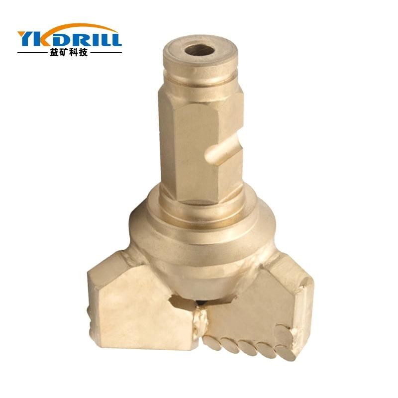 133 PDC Diamond Drilling Bit for Water Well Drilling