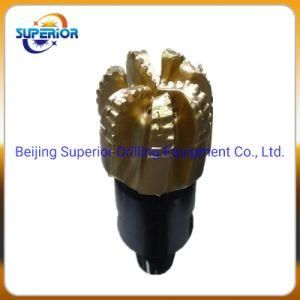 PDC Bit Oil Field Drilling Bit/Tricone Bit/Tri-Cone Bit