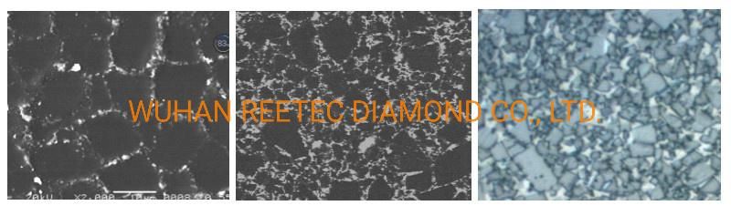 Diamond Oil/Gas/Well Processing Insert Tungsten Carbide Cutter Inserts PDC for Coalfield