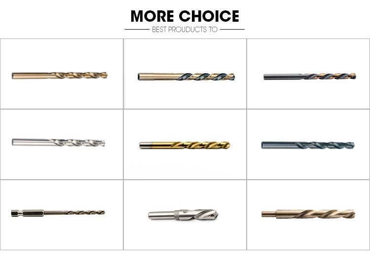 Natural Color Staright Shank HSS Twist Drill Bit for Drilling Stainless Steel Aluminium Alloy