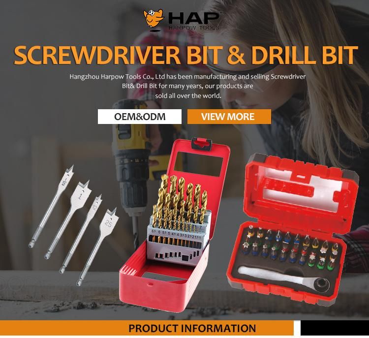 Power Tool Accessories H Flute Hammer Drill Bit SDS-Max