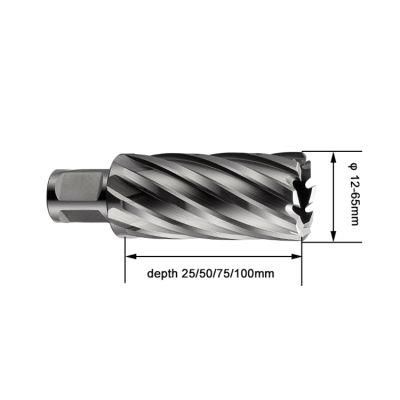 High Speed Steel Weldon Shank HSS Annular Cutter in Drill Bit