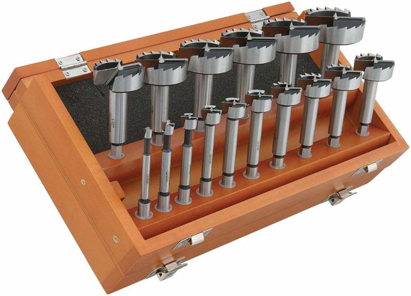 Forstner Bit Set with Hex Shank, 16-Piece