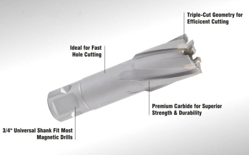 HSS Cobalt Annular Cutter