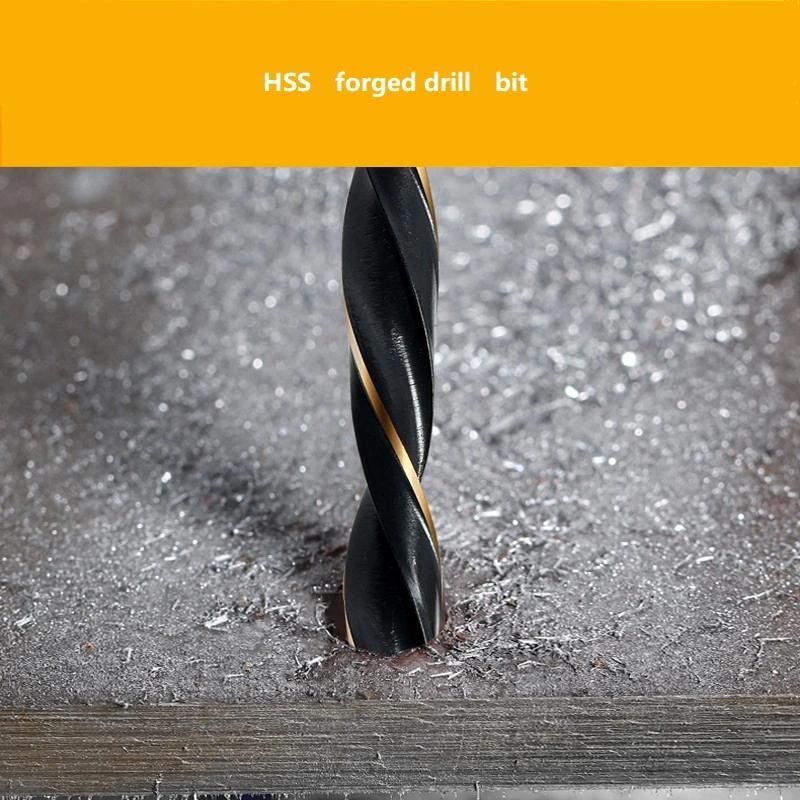 170 PC HSS Drills Set Metric Titanium HSS Twist Drill Bits Set for Metal Stainless Steel Aluminium Drilling in Metal Box (SED-DBS170)