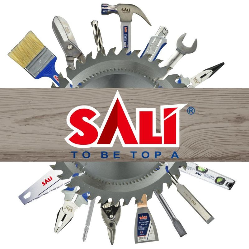 Sali 1/4′ ′ 65mm S2 Aluminium Screwdriver Bits with Magnet Circle