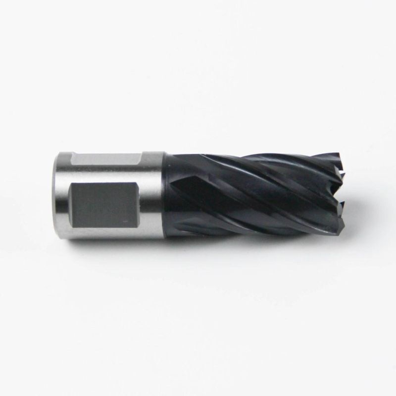 High Quality Cutting Tool Annular Drill with Universal Shank