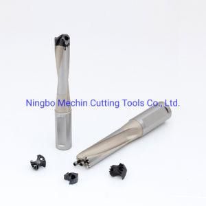 Replaceable Tip Drill/Detachable Head Drill