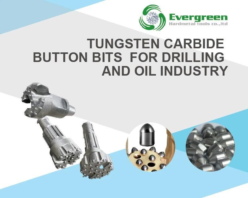 Tungsten Carbide Button for Rock Drill Tools