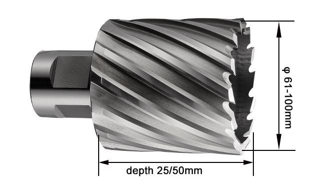 50mm Weldon Shank HSS Core Drill with Weldon Shank