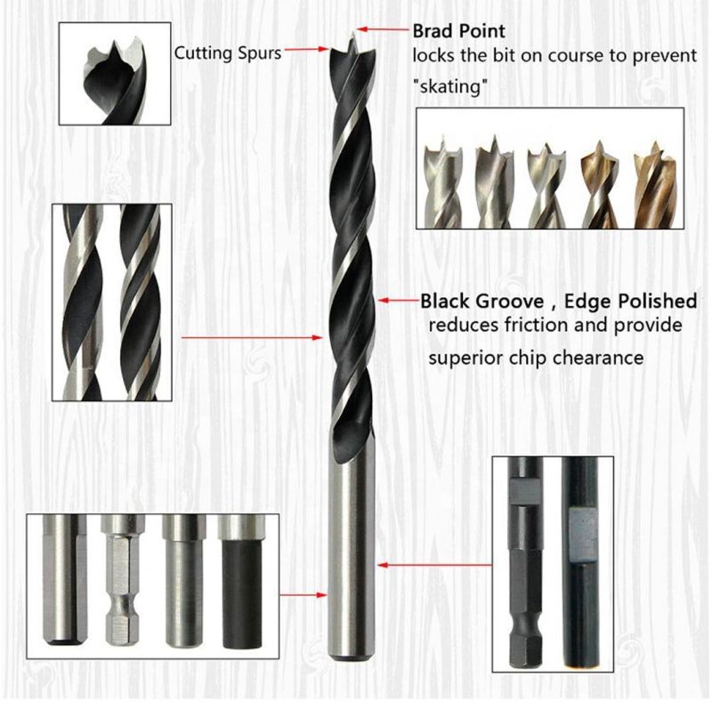 Pegatec Customized Various Sizes HSS Twist Drill Bit for Wood