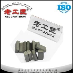 Shining Shining Tungsten Carbide Chisel Bit Teeth for Rock Drilling