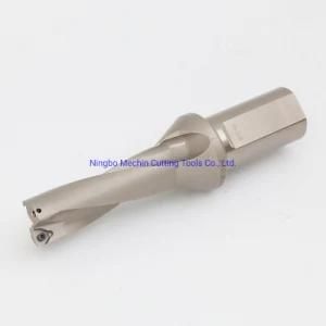 3D Wcmt Insert U Drill/Indexable Insert Drill