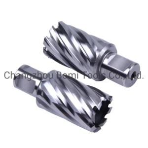 Power Tools HSS Drill Bits Customized Factory Tct Annular Cutter Twist Drill Bit