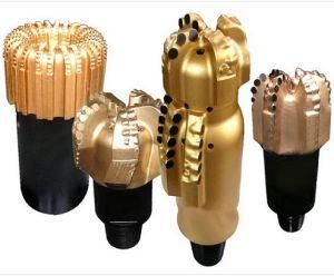 Different Type and Size of PDC Drill Bit