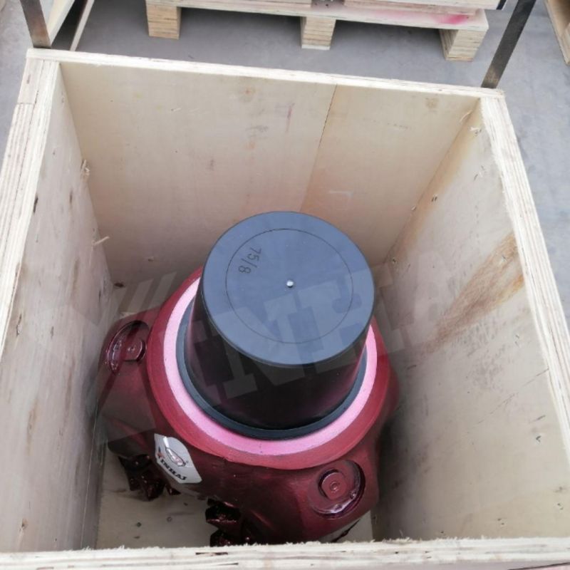 16" IADC117 Steel Tooth Bit, Tricone Bit for Well Drilling