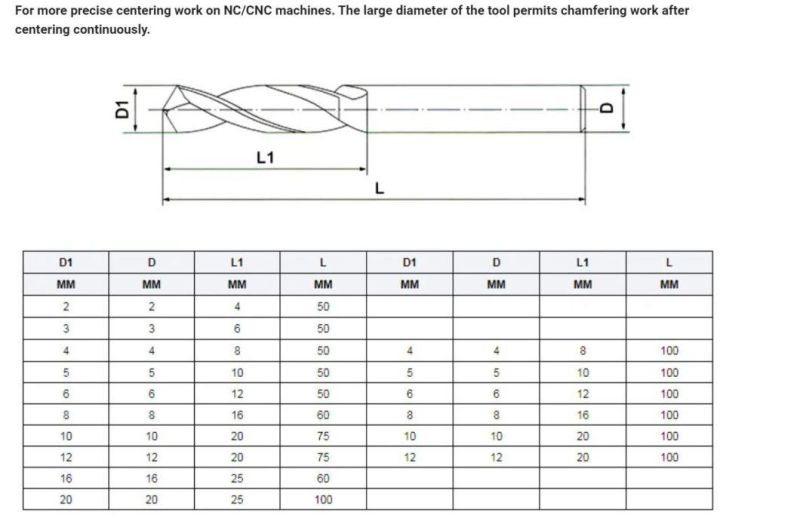 2 Flutes Solid Centering Spot Drill Bit