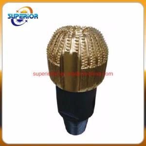 Diamond Drill Bit/Diamond Core Bit for Oil Well