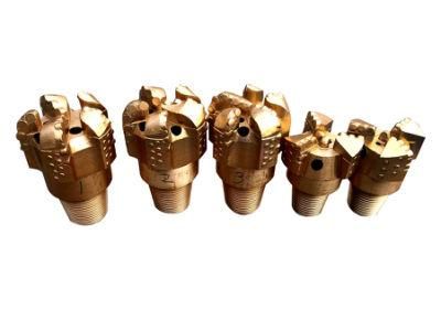 Rock Drilling PDC Bit for Water Well Drilling Project