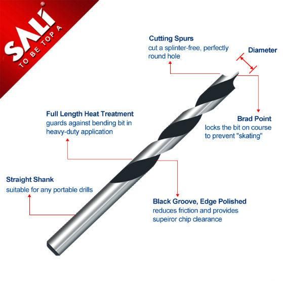 Sali High Quality Rolled Brad Point Twisted Wood Drill Bits