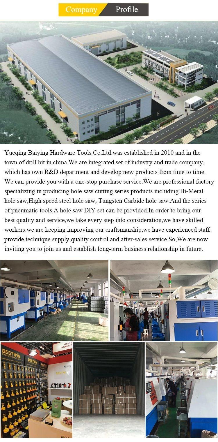 Customized Forstner Drill Bit for Wood Drilling Tct Hole Saws