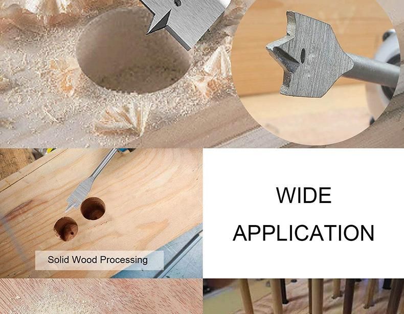 Competitive Flat Drills 6PCS Wood Spade Drill Bits Set (SED-SD6)