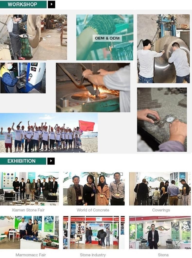Professional Manufacturer Diamond Drill Bit (SA-126)