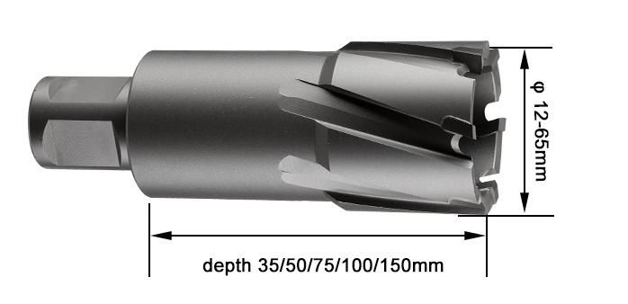 Tct 35mm Depth Weldon Shank Annular Cutter Drill