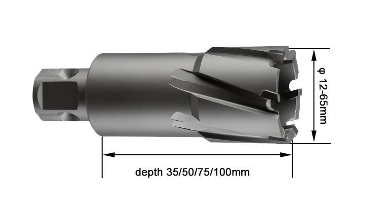 Tct 12-65mm Diamter Broach Cutter for Drill Hole