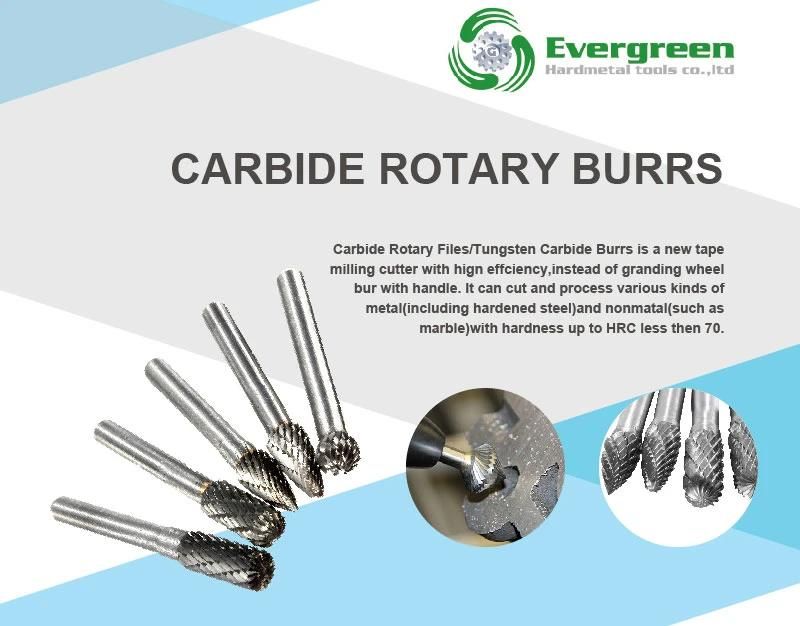 a-M Various Shape Carbide Rotary Burrs for Grinding and Drilling