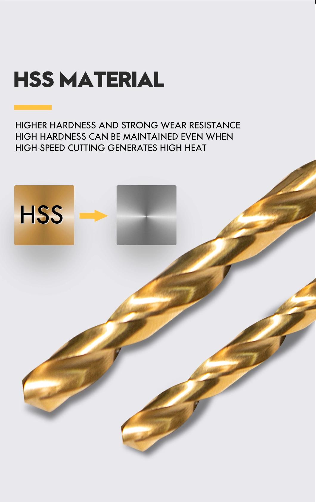 Pegatec High Speed Steel Twist HSS Drill Bit for Metal