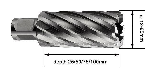 25mm Cutting Depth Weldon Shank 22mm HSS Drill Annular Cutter