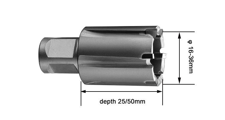 Chinese Factory Tct Rail Cutter with Weldon Shank for Drilling