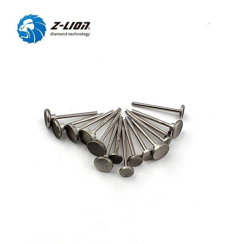 Z-Lion 50PCS 3.2mm Sanding Tool Mounted Needles Coated Rotary Tuck Rod Tools Head Burr Diamond Point Tool Set for Alloy Glass Stone Jade Grinding