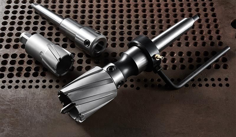 Chinese Factory 50mm Depth Carbide Annular Cutter with Weldon Shank