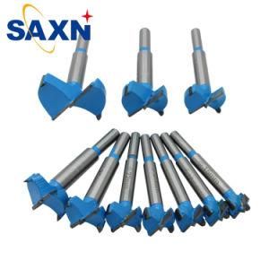 Yg8 Carbide Tip Painting Surface Finishing Tct Forstner Drill Bits