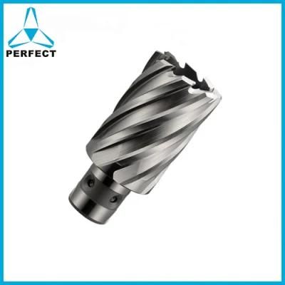 High Speed Steel HSS Annular Broach Cutter Magnetic Drill Bit with Fein Shank