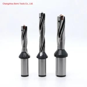Indexable Inner Coolant High Speed U Drill for Customized Drill Bit