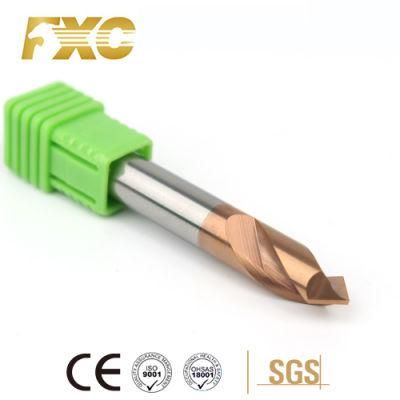 China Products High Speed 2 Flutes HRC55 Solid Carbide Drilling Bits