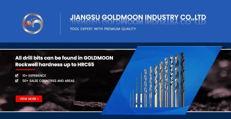 High Speed Steel Metal Drilling Goldmoon HSS Bit Drill Set