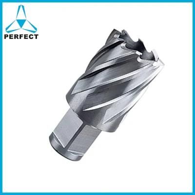 Weldon Shank HSS Annular Broach Cutter Magnetic Drill Bit for Magnetic Drill Machine Metal Cutting