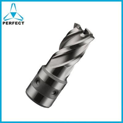 HSS Annular Core Drill Bit Broach Cutter with Fein Quick-in Shank